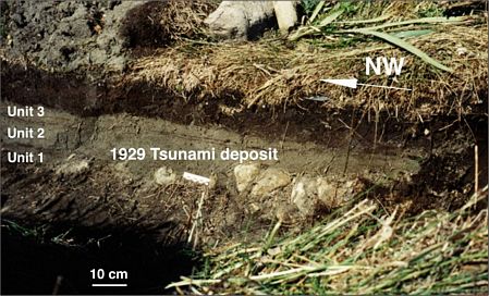 soil profile showing 3 1929 tsunami deposits soil profile showing 3 1929 tsunami deposits