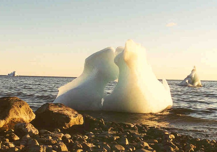 Iceberg Iceberg